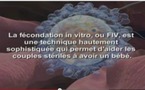 Fécondation In Vitro