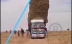 vidéos: Ils risquent leurs vies en S'amusant du haut d'un Camion