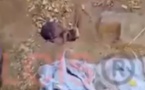 Vidéo choquante: Au lieu de sauver le bébé abandonné, ils le filment
