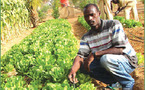 Forum sur les technologies agricoles et la sécurité alimentaire, samedi
