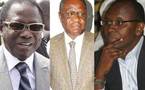 Pape Diop, Mamadou Seck, Moussa Sy en rébellion : Le Pds pourrit par la tête