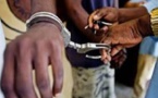Détournement à la CNCA de Louga: L’ex chef d’agence et Cie s'exposent à une peine de 5 ans ferme