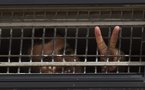 ’’Journée du prisonnier palestinien’’ : appel pour une application du droit international