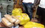 Bignona: Saisie de 35 kg de chanvre indien, deux trafiquants arrêtés