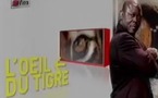 L'oeil du tigre du 20 avril