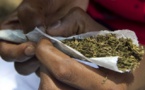 Mbour: Invité à une fête, il vole un sachet de yamba, puis se retrouve nez à nez avec la police