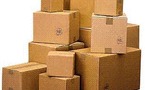 Vol de 30 cartons de poulpes dans un bateau : Quatre membres de l’équipage attraits à la barre
