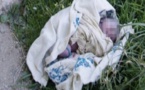 Incroyable mai vrai: Un nouveau-né retrouvé en vie, après avoir passé 11 jours dans la brousse à Oussouye