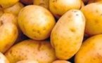 Augmentation de 87% en 2011 des exportations sénégalaises vers la Grande-Bretagne