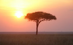 Séries de conférences du Groupe 30 Afrique
