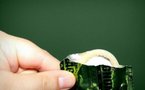 Comment faire rimer préservatif avec plaisir