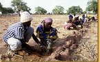 La Banque mondiale donne une nouvelle impulsion à la lutte contre la sécheresse dans la Corne de l’Afrique et  au Sahel