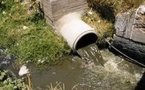 Urgent : Le Gouvernement Renonce Au Projet De L’émissaire Des Eaux Usées De Cambéréne