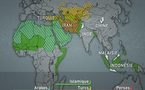L’expérience des Maisons citoyennes s’étend en Afrique (spécialiste)