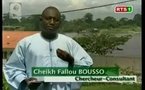 Cheikh Ahmadou Bamba: L'exil au Gabon