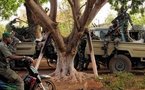 La CEDEAO appelle à éviter « la prise en otage » de la transition au Mali par la junte