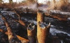 Incendie à Bandafassi: 17 cases et une mosquée du village de Thiankoumalal réduites en cendres