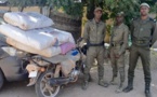 Poste des Douanes de Sénoba: saisie 80 kg de chanvre indien