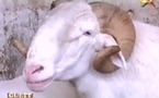 Guett Gui - 20 Mai 2012