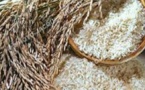 Liberia: Les droits de douanes sur le riz suspendus