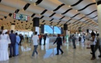 Aéroport International Blaise Diagne: Un Algérien arrêté avec 131 perroquets