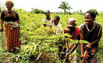 Les femmes arrivent et les « familles » explosent !