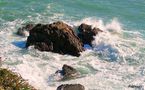 La mer régurgite deux corps à Malika