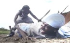 Thiaroye Tally Diallo : ils poignardent un homme pour un téléphone portable