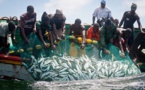 Saint-Louis: 4 pêcheurs arrêtés dans les eaux mauritaniennes et déférés à Rosso