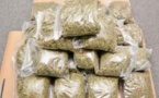 Pour offre et cession de drogue: Mamadou Niang encourt 5 ans de prison
