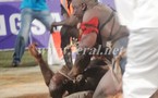 [Videos et Photos] Gouye Gui surclasse Ama et frappe à la porte de la cour des "grands"