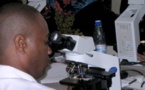Coronavirus: Un traitement inspiré de celui contre le paludisme