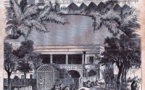 L’épidémie de fièvre jaune qui se déclencha à Dakar en juin 1900