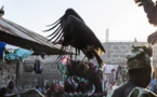 Guinée-Bissau : mort mystérieuse de plus de 200 vautours