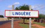 Linguère: Mélakh, un véritable sanctuaire de la religion musulmane vient de célébrer son  Magal annuel.