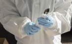 Coronavirus au Sénégal- Six prélèvements de cas suspects: Les résultats exposés à la presse