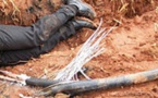 Electrocution à Saly: Un jeune homme de 22 ans meurt