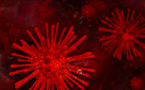 La pandémie de coronavirus pourrait sauver plus de vies humaines qu’en emporter, selon un chercheur