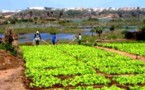 Atelier de Restitution sur le changement climatique et agriculture urbaine: Des espaces verts de Dakar menacés