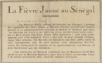 Un apartheid sanitaire au Sénégal ( 1928 )