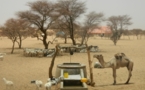 Mauritanie: Le bétail en quête de pâturages au Mali