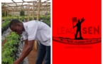 Souleymane Agne, CEO de la startup FraiSen : L’entrepreneur agronome s’investit dans la production et la commercialisation de la fraise en Afrique