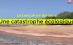  LA BRÈCHE : La Langue de Barbarie, une catastrophe écologique majeure au Sénégal (Par Mandiaye Diallo)
