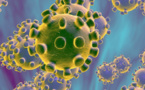 Le virus pourrait « ne jamais disparaître », avertit l’Oms