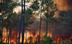 L'incendie de Lacanau est contenu