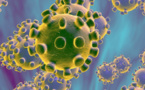 Coronavirus : L’Algérie secouée par la mort d’une médecin enceinte de huit mois