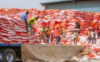 Louga: L’aide alimentaire destinée aux familles vulnérables commence à arriver (Vidéo)