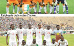 Côte d’Ivoire vs Sénégal : Les Pro-Gbagbo veulent la défaite des "Eléphants"