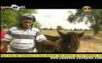 "BENEEN LIFE" - Kiné Sow au Village  (SenTV)
