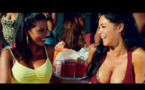 VIDEO Ayem et Nabilla dans un clip de The Game et Chris Brown